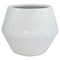 Trendspot Trendspot Rena 6.5 in. H X 8 in. W X 8 in. D X 8 in. D Ceramic Planter White CR01474N-08W - alternate 1